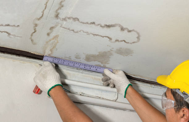 Reliable Mold Remediation contractor in Nashville, NC by Local Water Damage Repair
